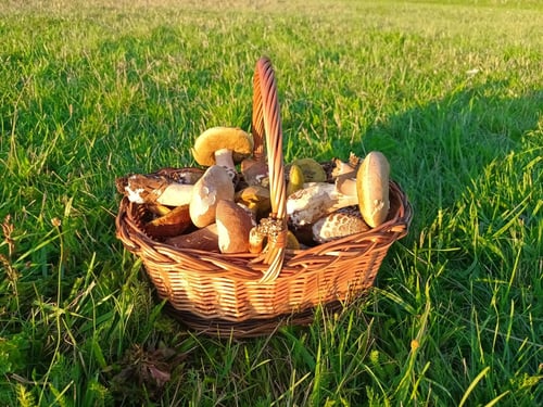 Chata pod Suchým vrchom, 367464472_124364020745588_8024303856296984548_n.jpg