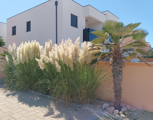 Apartmán Bobrik na Vir Croatia, IMG_20240916_114159_291.jpg