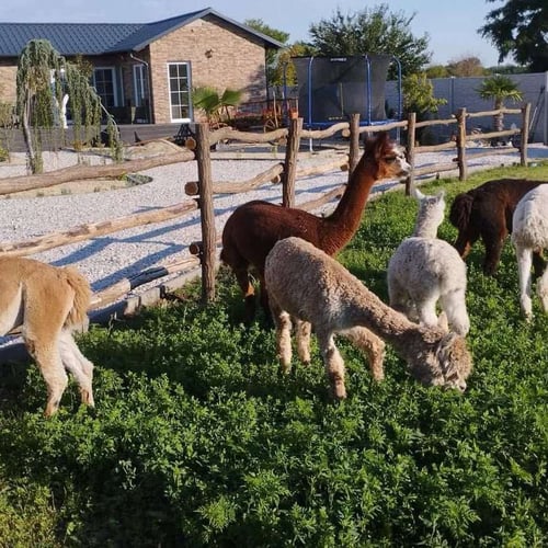 Madrej ranč, IMG-20240516-WA0007.jpg