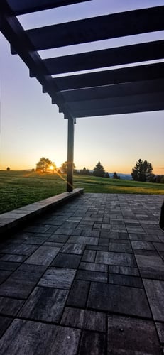 IMG_20230715_201805.jpg