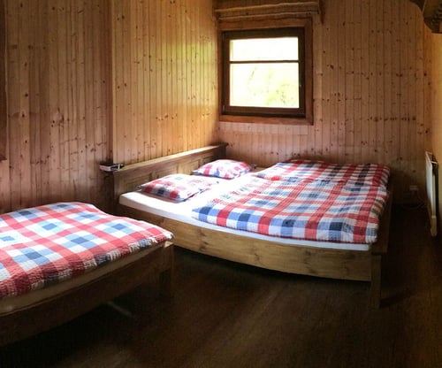 image-05-full.jpg