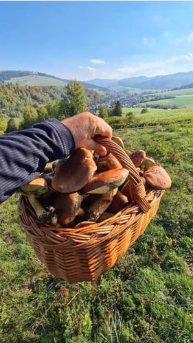 Chata Família Čierny Balog, 386105958_122098992698079289_4574658597851474916_n.jpg