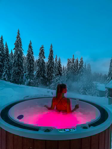 Chata MartinSki Wellness, ffc62a1d-5c99-486b-957b-6e8545896b1d.jpg