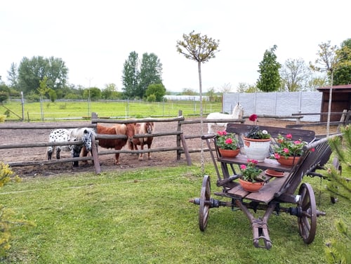 Madrej ranč, IMG-20240516-WA0016.jpg