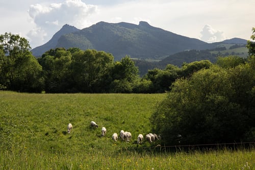 Drevenica v Zázrivej 243, lwudruv7.jpg