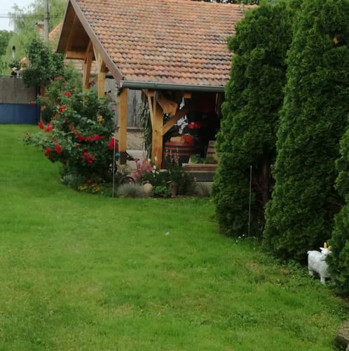 Chalupa Bruno, FB_IMG_1664437723986.jpg