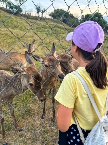 Rezort Zvernica Vlachy - Family & Fun, 760665418 (1).jpg