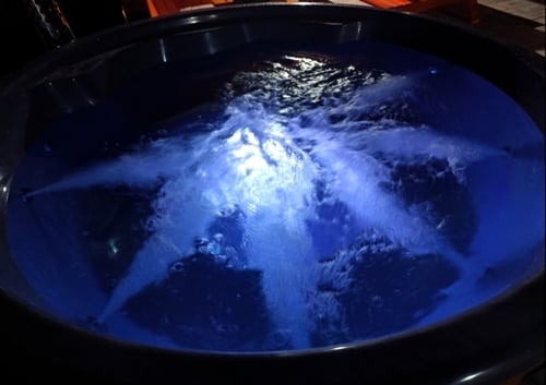 Chata Marcela Drienica, IMG_20250325_123330.jpg