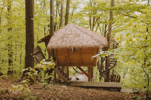 Happytreehouse Betliar - zážitok v krásnej prírode, IMG-20260610-WA0010.jpg