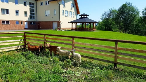 Agrohotel Tri Brezy, 4cfd213d-14d0-416e-b658-518a9d88bfe0.jpeg