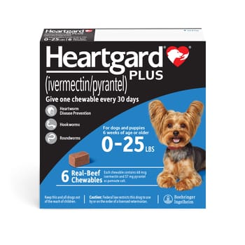 HEARTGARD&reg; Plus (ivermectin/pyrantel) Real-Beef Chewables for Dogs - Up to 25 lbs (Blue Box) 6 Month Supply of Chews (Heartworm Disease Preventive)-product-tile