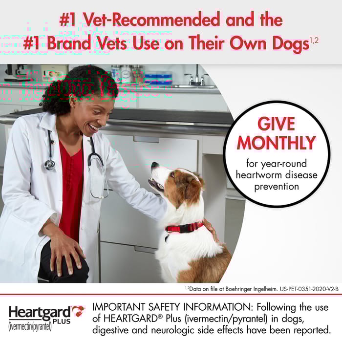 10002 product detail number 1.0