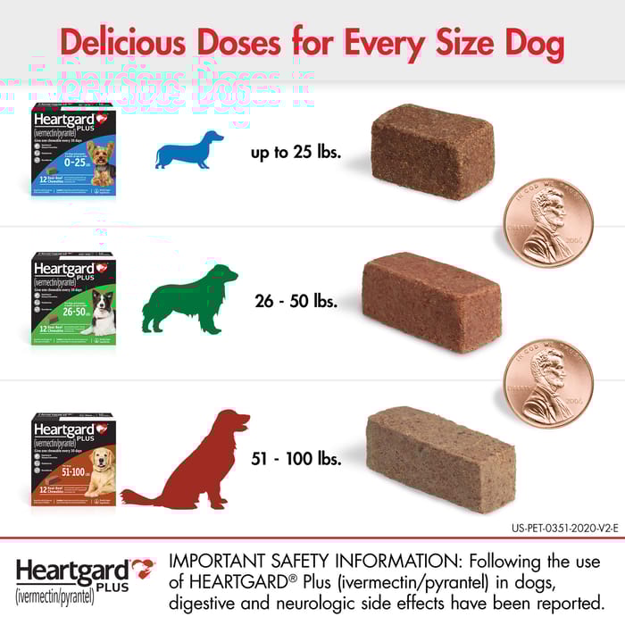 10002 product detail number 1.0