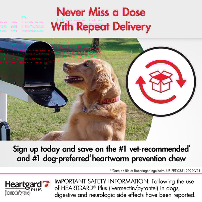 10002 product detail number 1.0