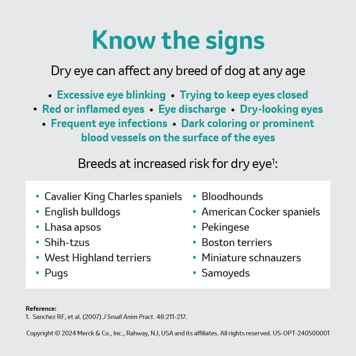 10162 product detail number 1.0