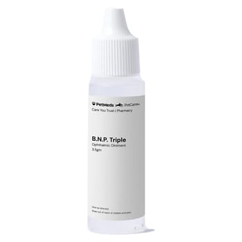 B.N.P. Triple Antibiotic Ophthalmic Ointment 3.5gm Tube-product-tile