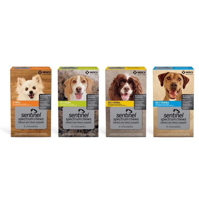 10388 product detail number 1.0