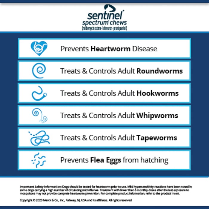 10388 product detail number 1.0