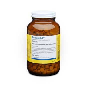 Temaril-P Tablet (sold per tablet)-product-tile