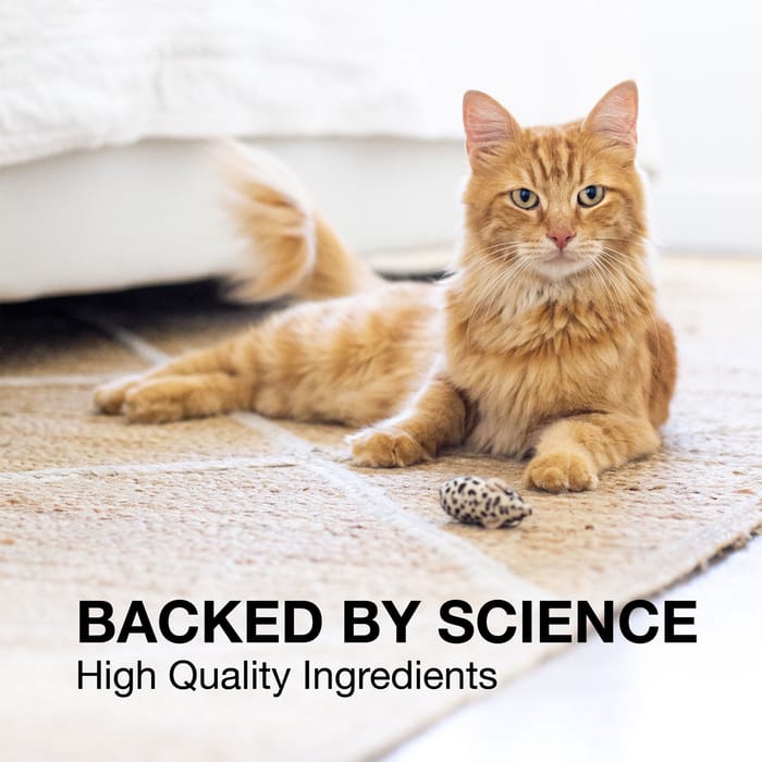 10434 product detail number 1.0