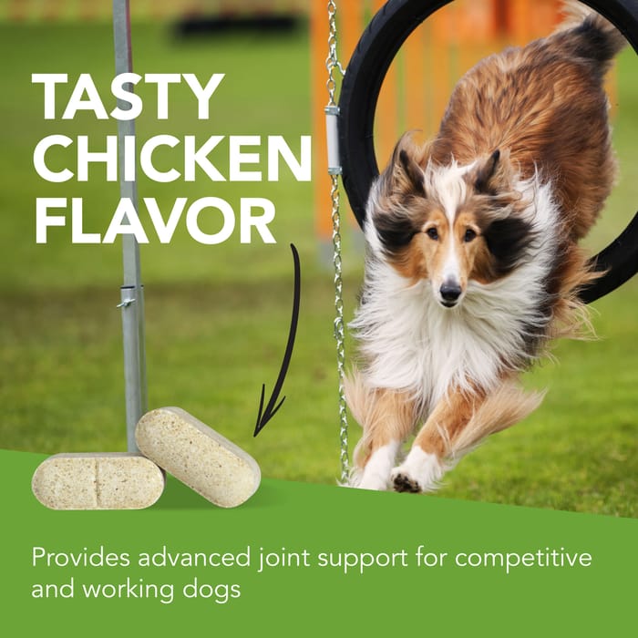 10653 product detail number 1.0