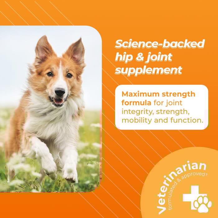 10654 product detail number 1.0