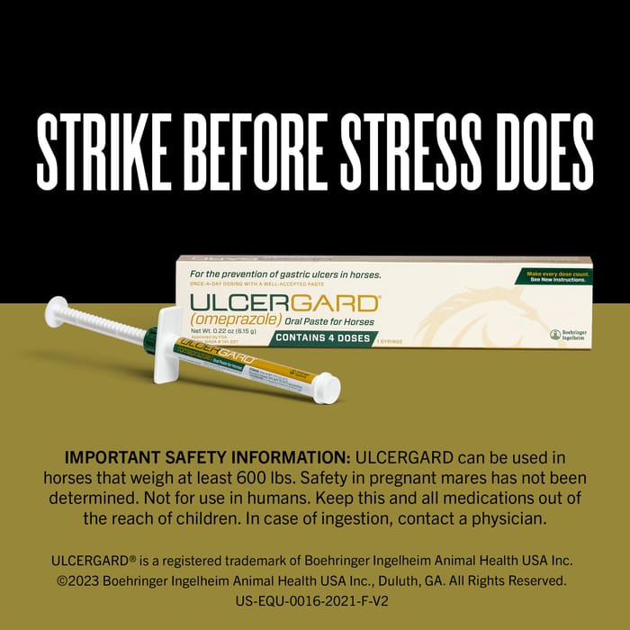 10761 product detail number 1.0