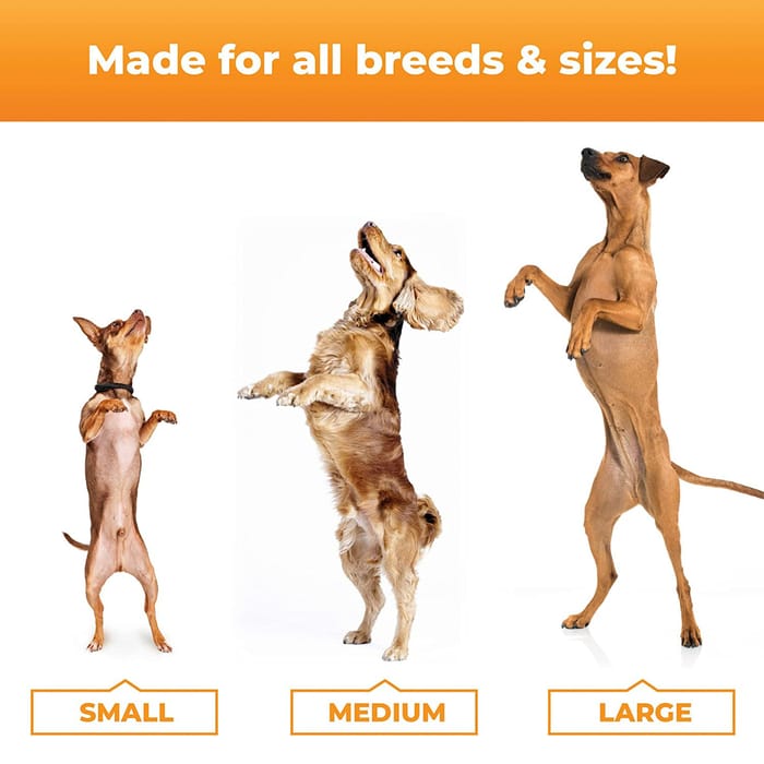 10925 product detail number 1.0