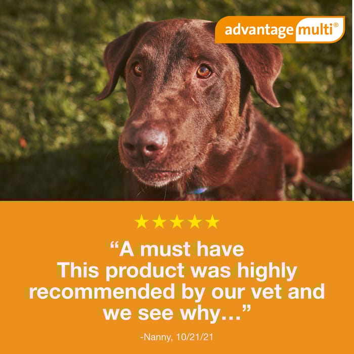 10943 product detail number 1.0