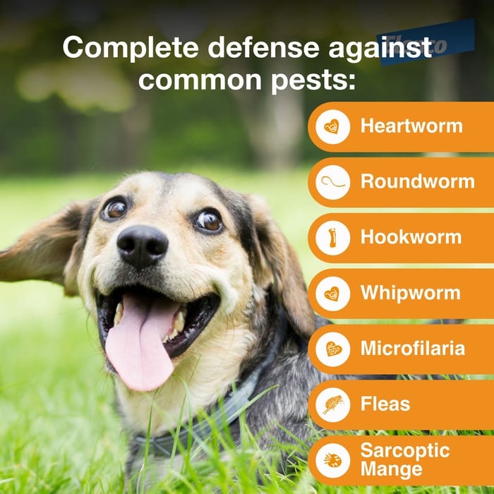 10943 product detail number 1.0