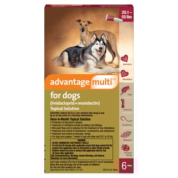 Advantage Multi 6pk Dogs 20-55 lbs-product-tile