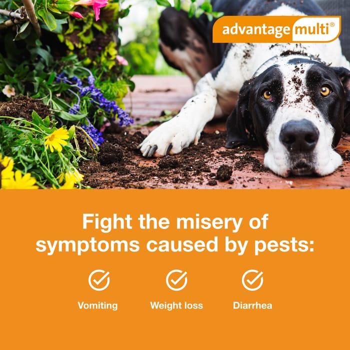 10943 product detail number 1.0