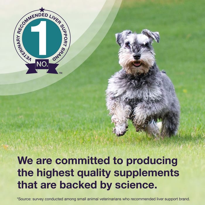 11008 product detail number 1.0