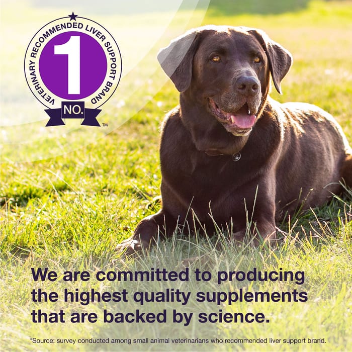 11008 product detail number 1.0