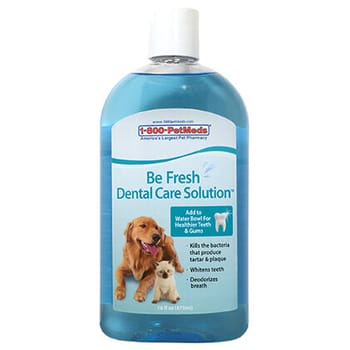 Be Fresh Dental Care Solution 16 oz-product-tile