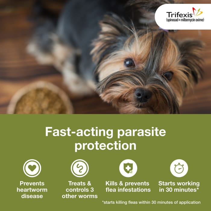 11190 product detail number 1.0