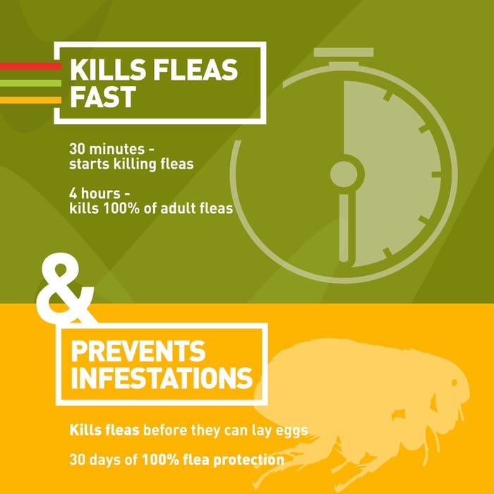 11190 product detail number 1.0