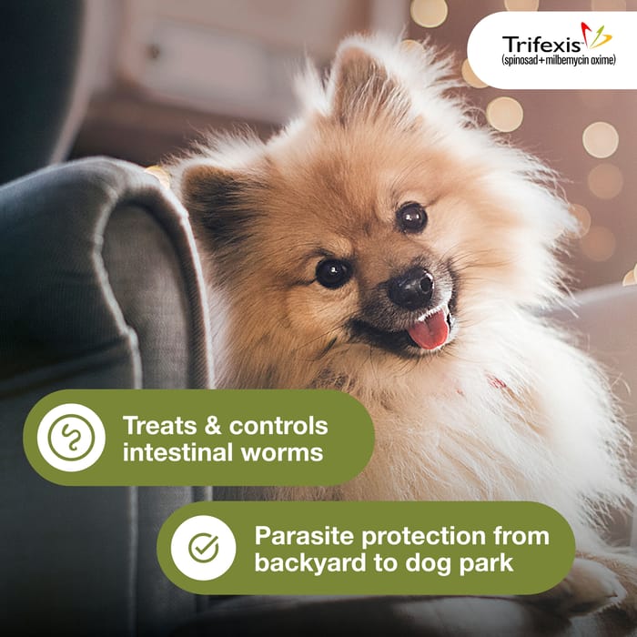 11190 product detail number 1.0