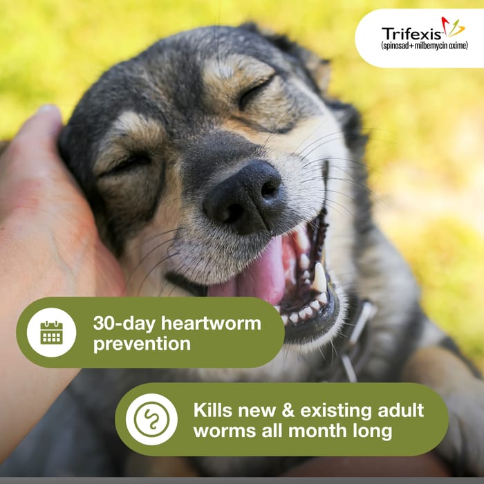 11190 product detail number 1.0