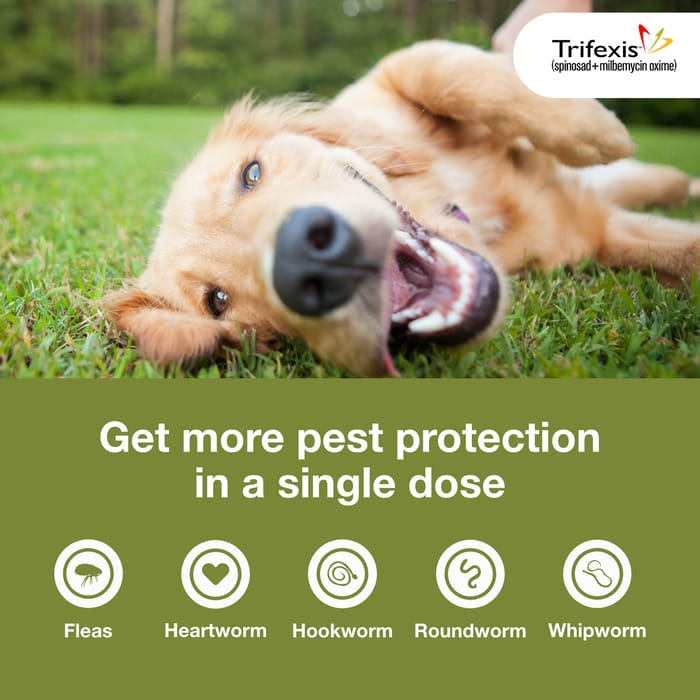 11190 product detail number 1.0