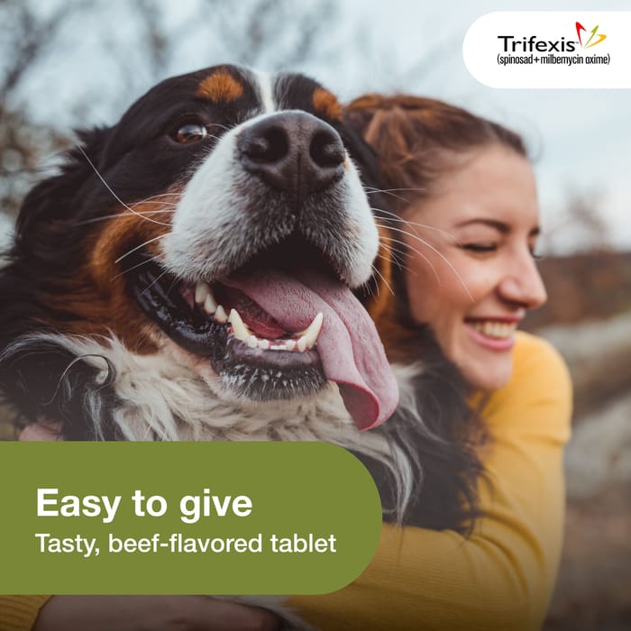 11190 product detail number 1.0