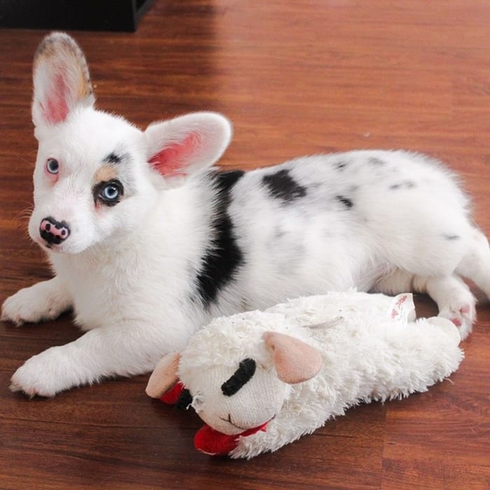 11206 product detail number 1.0