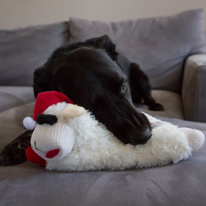 11206 product detail number 1.0