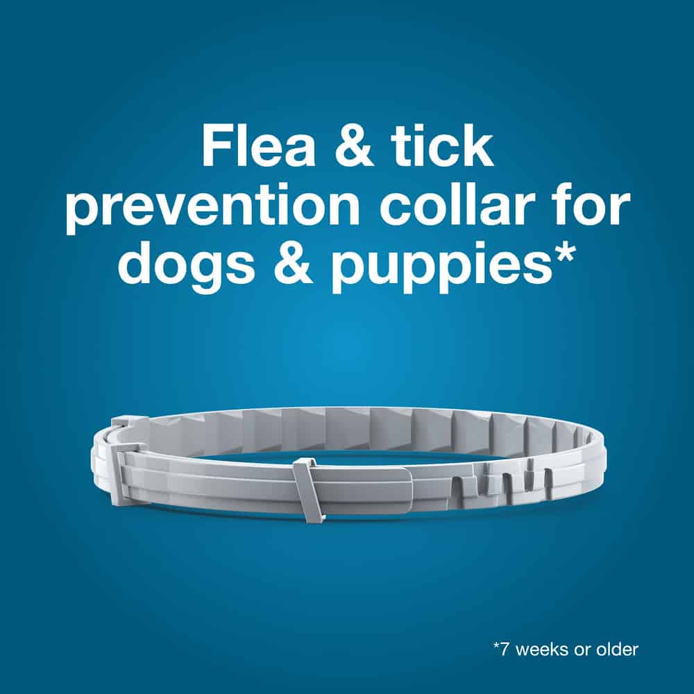 Seresto for Small Dogs 2pk Bundle