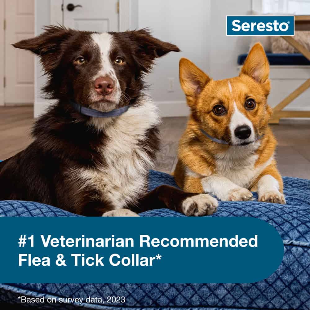 Seresto for Small Dogs 2pk Bundle