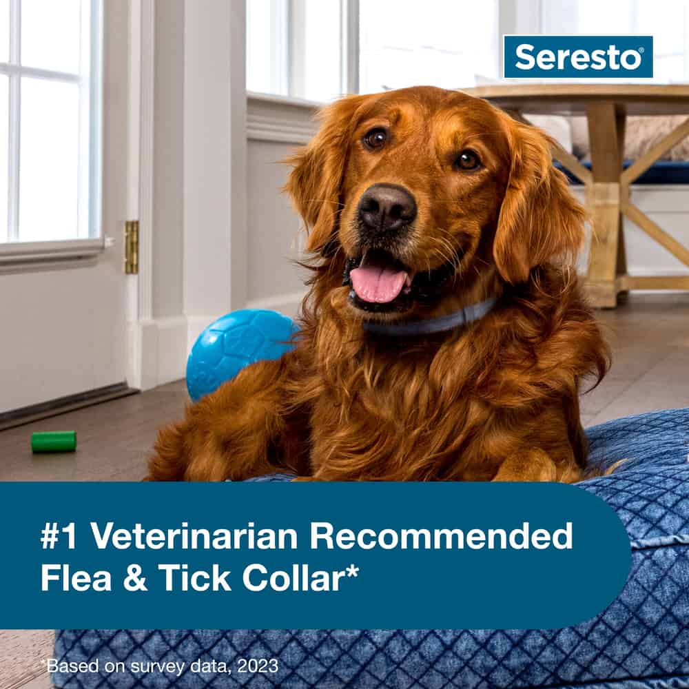 Seresto for Large Dogs 2pk Bundle