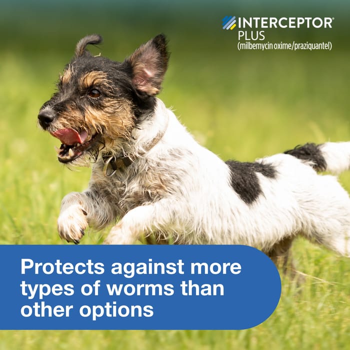 11710 product detail number 1.0