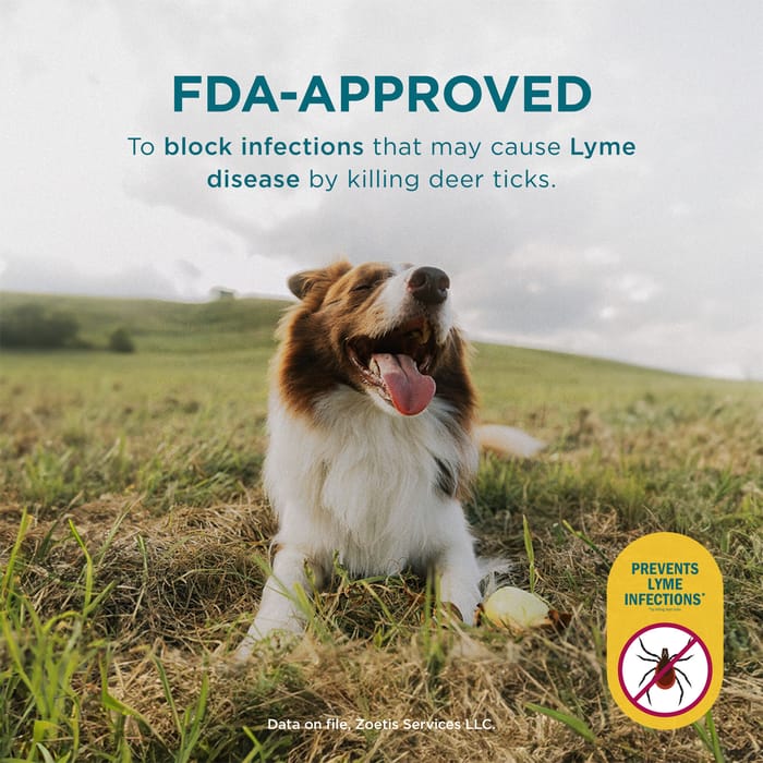 11716 product detail number 1.0