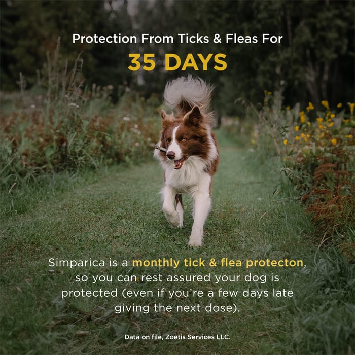 11716 product detail number 1.0