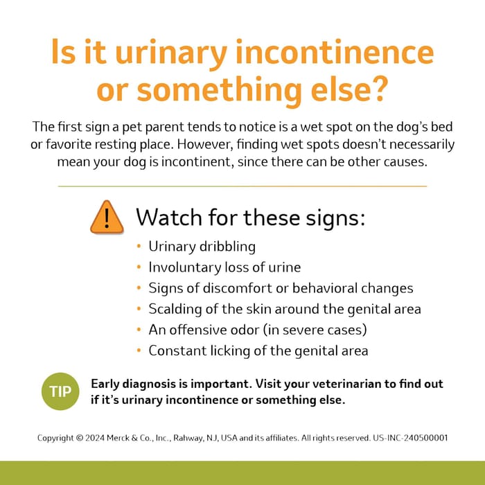 11742 product detail number 1.0